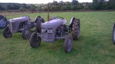 Picture of a Furguson tractor