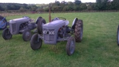 Picture of a Furguson tractor
