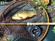 Picture of a Crucian Carp in a vintage Ash loop landing net with a Mark IV split cane fishing rod and Allcocks Aerial Popular fishing reel