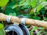 Picture of a Dragon fly fitting on the cork handle of a fishing rod